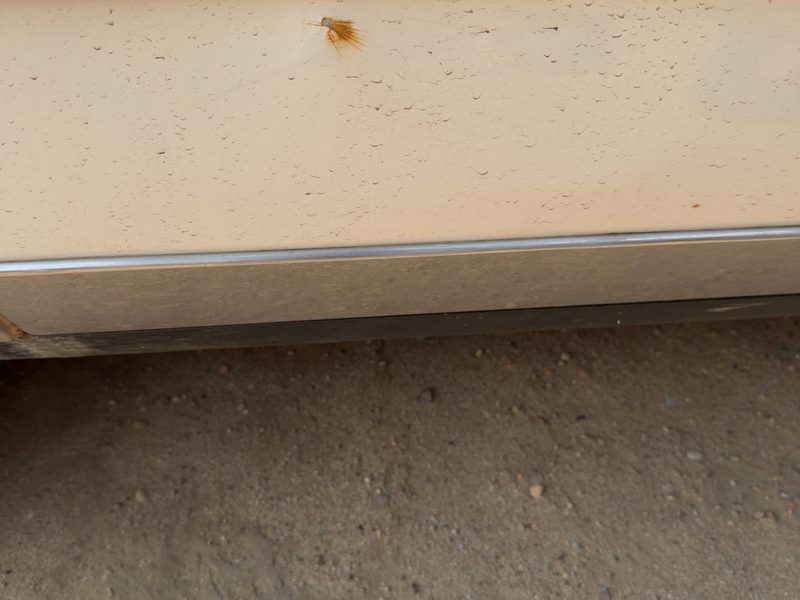 1986 Oldsmobile Ninety-eight (80 & Up) Rear Door Moulding RH