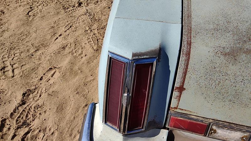 1975 Cutlass (also See Calais 85-88) Quarter Panel Moulding LH