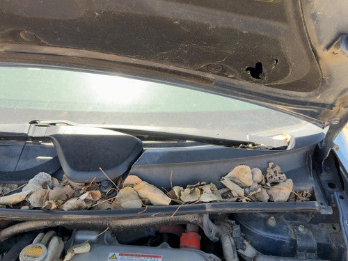 2004-2009 Toyota Prius Driver Left Windshield Wiper Arm Oem Blade Lever