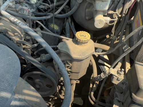 2002-2004 Dodge Ram 1500 Power Steering Pump With Pulley Oem 5.9L 52113454Ad
