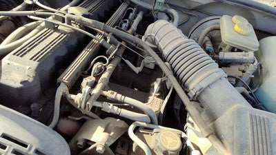 1993-1995 Jeep Grand Cherokee Intake Manifold Oem 4.0L 33007067