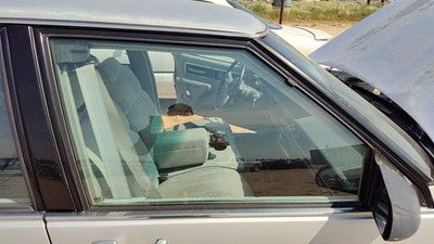 1989-1991 Olds 88 Passenger Right Front Side Window Door Glass Oem 20749624