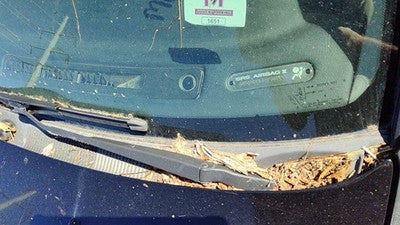 2002 Infiniti G20 Windshield Wiper Cowl Vent Trim Panel Oem Cover