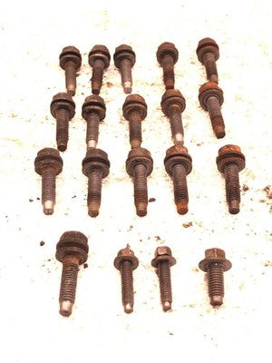 1998-2002 Lincoln Navigator Set Of Bolts For Engine Oil Pan Oem 5.4L Dohc