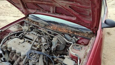 1997-1998 Ford Escort Pair Of Hood Hinges Right Left Set Assembly Oem Red