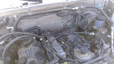 1994-1995 Nissan Pathfinder Cruise Control Module Servo with Cable OEM 3.0L