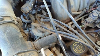 1992-1996 Ford F150 Ignition Distributor Oem 5.0l F2tz12127a