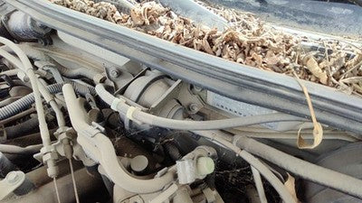 2001 Nissan Maxima Cruise Control Servo Assembly Module With Cable Oem