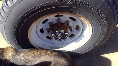 1999-2004 F250 Super Duty 16 Steel Wheel Oem Factory Rim F81z1015aa