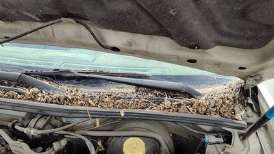 2000-2003 Nissan Maxima Driver Left Windshield Wiper Arm Oem Blade Lever