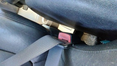2007-2009 Gmc Acadia Passenger Right Front Seat Belt Buckle Receiver Oem Black