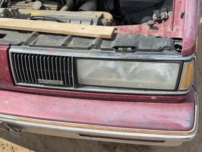 1987-1989 Olds 88 Driver Left Front Grille Assembly Oem 22530640