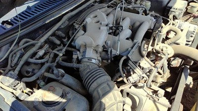 1999-2004 Ford Mustang Passenger Right Valve Cover Oem 3.8L 3F2Z6582Aa
