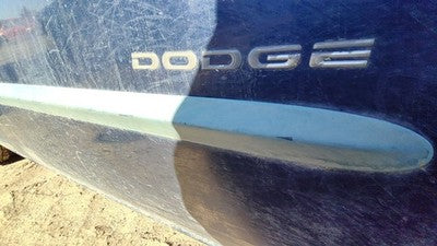 2001-2003 Dodge Caravan Passenger Right Front Moulding From Door Oem Trim Strip