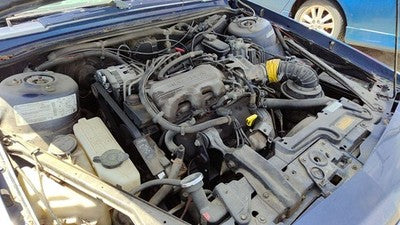1994 Olds Cutlass Ciera Passenger Right Rear Brake Backing Plate Assembly Oem