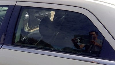 2005-2010 Chrysler 300 Driver Left Rear Side Window Door Glass Oem Back