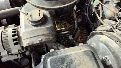 1989 Chevy S10 Pickup Driver Left Valve Cover Oem 4.3L