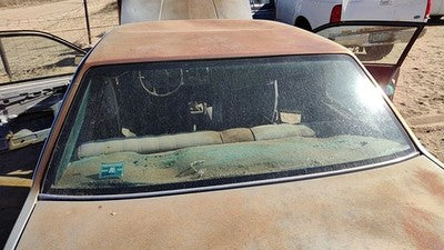 1985-1987 Pontiac Sunbird Back Glass Rear Window 2Dr Oem 20480996