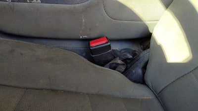 2013-2018 Dodge Ram 4500 Driver Left Front Seat Belt Buckle Receiver Oem Gray X8