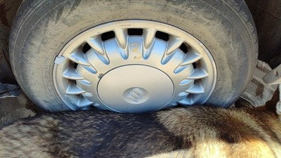 1997-1999 Park Ave Ultra 16' Aluminum Wheel Oem Factory 17 Spoke Rim