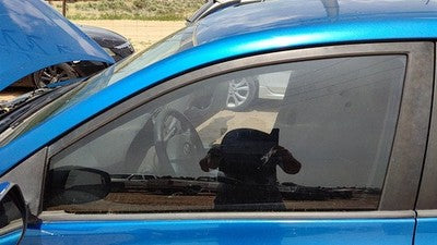 2009-2013 Toyota Corolla Driver Left Front Side Window Door Glass Oem 6810202281