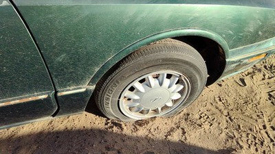 1996 Olds 88 Passenger Right Moulding From Fender Oem Trim Strip Green