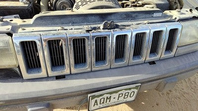 1993-1995 Jeep Grand Cherokee Front Grille Assembly Oem Chrome 55054890