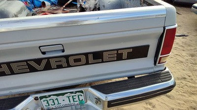 1982-1993 Chevy S10 Pickup Tail Gate Oem Gray 15659105
