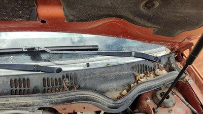 2005-2010 Chevy Cobalt Driver Left Windshield Wiper Arm Oem Blade Lever 22695009