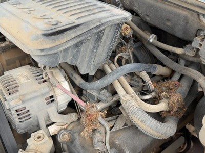 2005-2006 Dodge Dakota Intake Manifold Oem 3.7L 53032795Aa