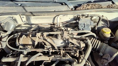 2000-2002 Nissan Sentra Cruise Control Servo Assembly Module With Cable 1.8L Gxe