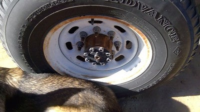 1999-2004 F250 Super Duty 16 Steel Wheel Oem Factory Rim F81z1015aa