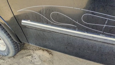 1997-1998 Ford F150 Driver Left Front Moulding From Door Oem Trim Strip Black Ua