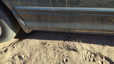 00-04 Dodge Intrepid Driver Left Front Lower Rocker Panel Moulding Side Skirt