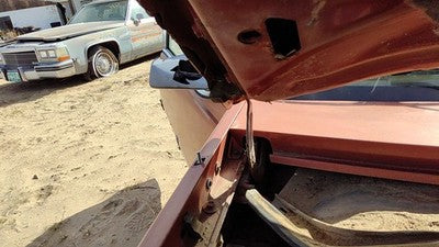 1985-1987 Pontiac Sunbird Pair Of Hood Hinges Right Left Set Assembly Oem