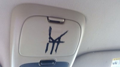06-10 Mountaineer Center Overhead Console Dome Light Map Lamp Cubby Black