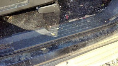 08 Expedition Passenger Right Lower Sill Step Moulding Trim Panel 1W Black/Camel