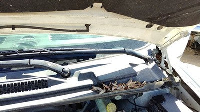 2008-2011 Dodge Grand Caravan Driver Left Windshield Wiper Arm Oem Blade Lever