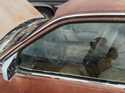 1982-1984 Pontiac Sunbird Driver Left Front Side Window Door Glass Oem 20157332