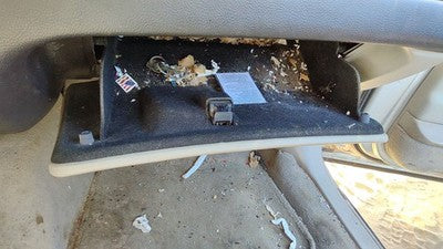 2003-2004 Lincoln Town Car Glove Box Assembly Complete Door With Latch Oem Gray