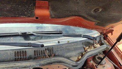 2005-2010 Chevy Cobalt Driver Left Windshield Wiper Arm Oem Blade Lever 22695009
