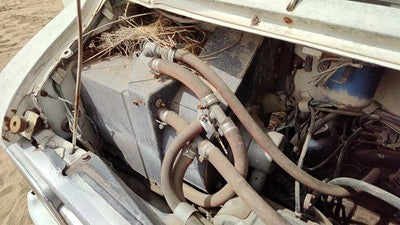 1971-1977 Dodge Van B200 Blower Motor With Heater Housing Assembly Oem 03514327