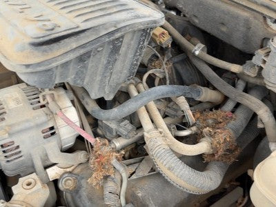2005-2006 Dodge Dakota Intake Manifold Oem 3.7L 53032795Aa