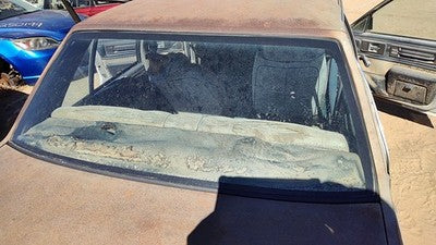 1982-1983 Oldsmobile Firenza Back Glass Rear Window Oem Db06368gt