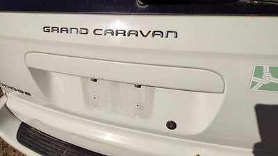 2001-2007 Dodge Caravan Driver Left Front Outside Door Handle Oem White Pw1