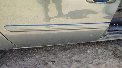 07 Caravan Passenger Right Rear Moulding From Door Back Trim Strip Magnesium Ppk