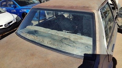 1982-1983 Oldsmobile Firenza Back Glass Rear Window Oem Db06368gt