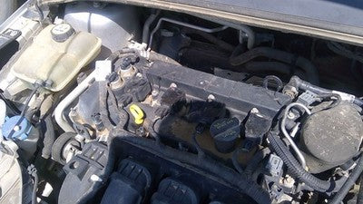 2012-2014 Ford Focus Valve Cover Oem 2.0L