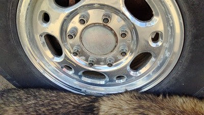 1999-2010 Silverado 2500 Hd 16 Aluminum Wheel Oem Factory Rim