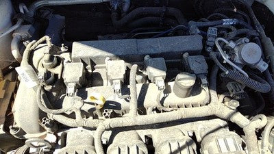 2012-2018 Ford Focus Set Of 4 Ignition Coil Assembly Oem 2.0L Cm5Z12029K